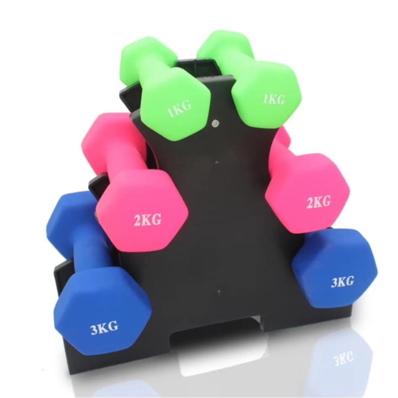 Home Gym Fitness - Suporte de Armazenamento de Halteres de
