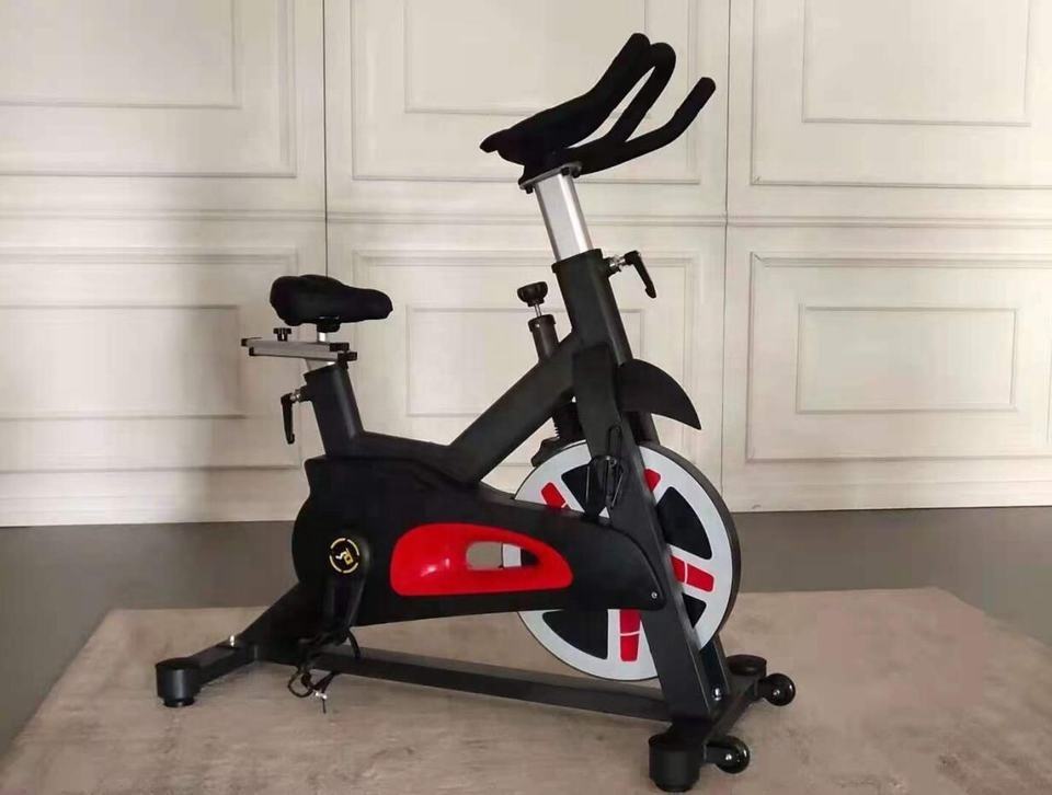 Bicicleta Ergométrica Vertical - Home Gym Fitness avaliação e preço